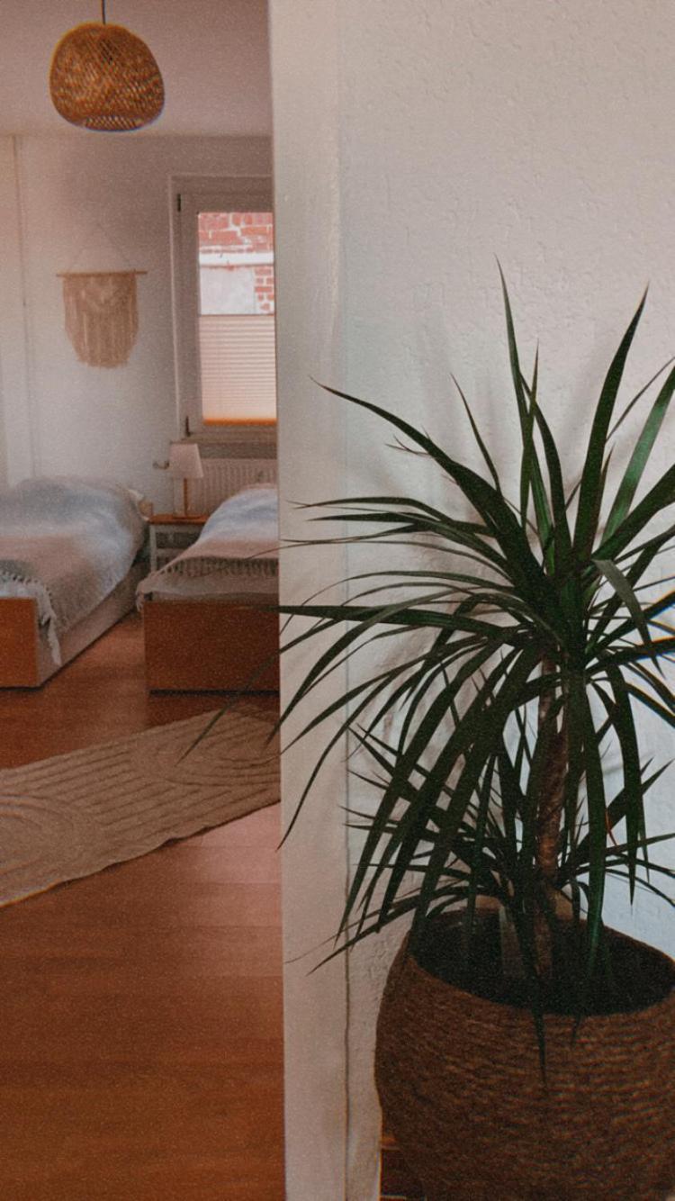 Ferienwohnung Nr. 1 Terrasse Bodden Kanu Bootssteg Zudar 外观 照片